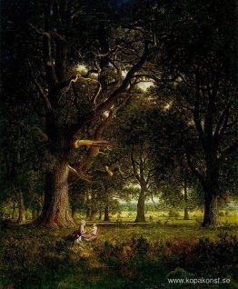 I skogen