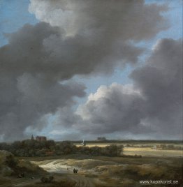 Utsikt över Alkmaar