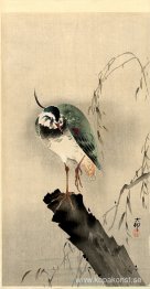 Vipa på trädstubbe