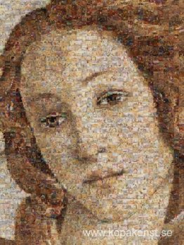 Venus födelse