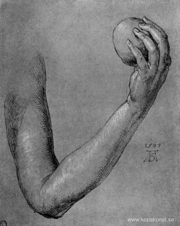 Evas arm