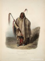 En Minatarre eller Big Bellied Indian, skylt 17 från volym 2 av