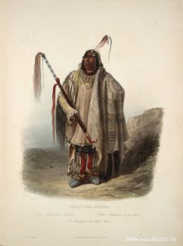 En Minatarre eller Big Bellied Indian, skylt 17 från volym 2 av