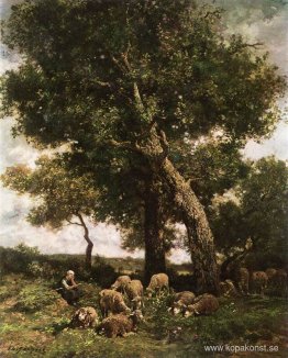 På hagen