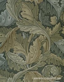 Acanthus tapeter