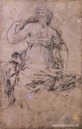 Studera för silveråldern