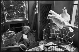 Henri Matisse i sitt hem, Alpes-Maritimes