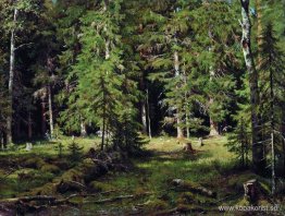 Skog