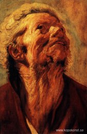 Studie av Abraham Grapheus huvud