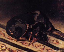 Hunden Rita sover