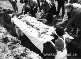 Dejeuner sous l'herbe (Snarebildens begravning)