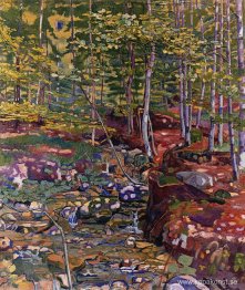 Skogen nära Reichenbach