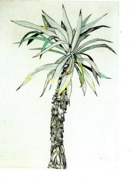 Palmträd