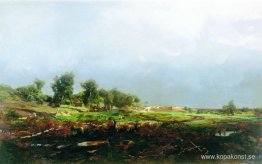 Storm på fältet