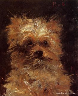 Huvud av en hund