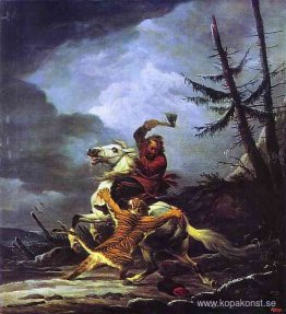 Kosack slåss mot en tiger