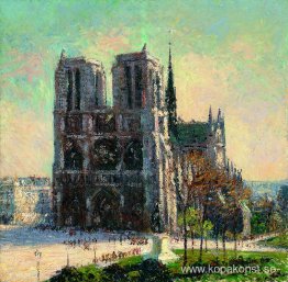 Utsikt över Notre Dame