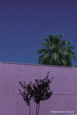 Stadslandskap, Phoenix