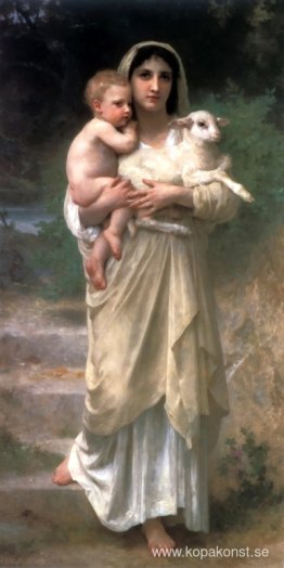 Lamm