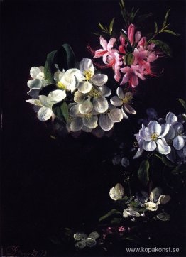 Skiss av äppelblommor med majblommor