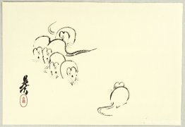 Vita råttor