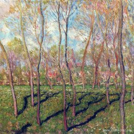 Träd på vintern, utsikt över Bennecourt