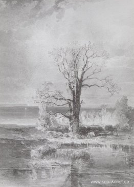 Höstlandskap