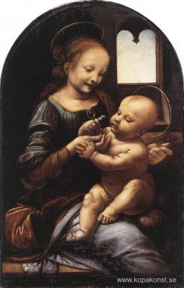 Madonna med en blomma (Madonna Benois)
