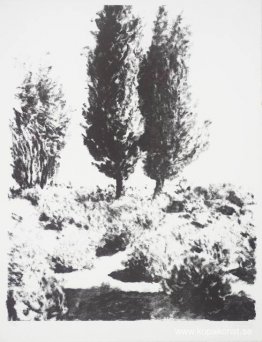 Jerusalemcypresser och lavendel