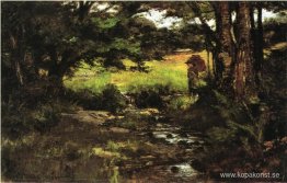 Bäck i skogen