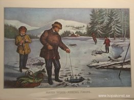 Vintersport - Plockfiske