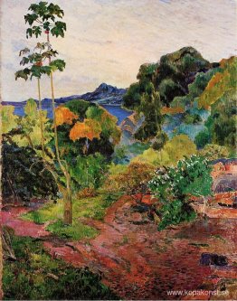 Martinique landskap