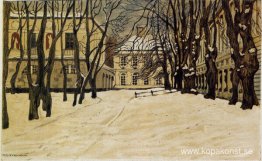 Vinter i Tsarskoye Selo