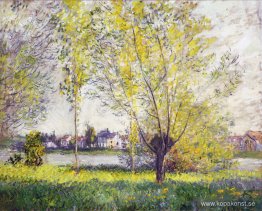 Willows