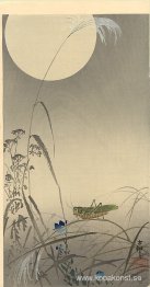 Gräshoppa och Fool Moon