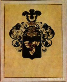 Familjens vapen för familjen Narbut