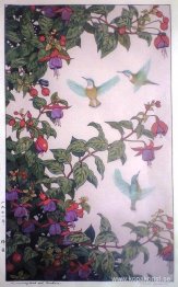 Hummingbird och Fuchsia