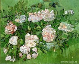 Stilleben - Rosa rosor