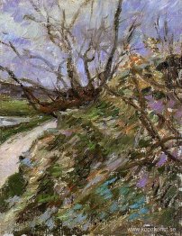 Flodstrand på vintern