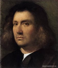 Porträtt av en man (Terris)