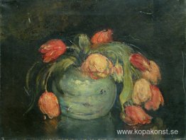 Tulpaner