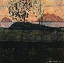 Solnedgång