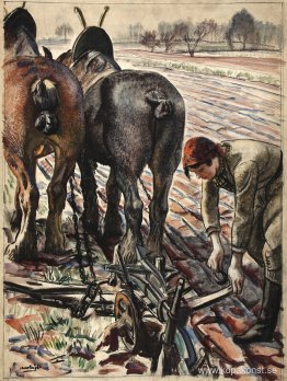 Hästdragen plog, land flicka