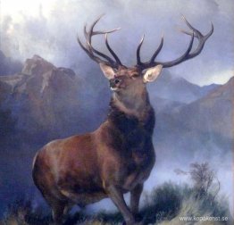 The Monarch of the Glen
