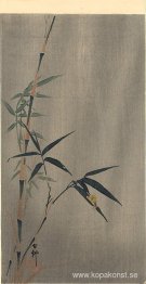 Snigel på bambubladet