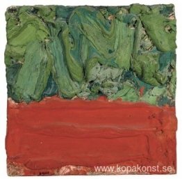Norra botten