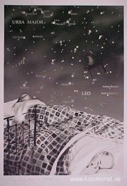 Stjärnornas himmelträd