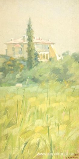 Hus på Capri Island