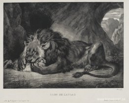 Atlasens lejon