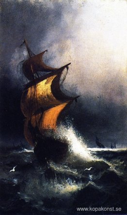 Skepp i en storm